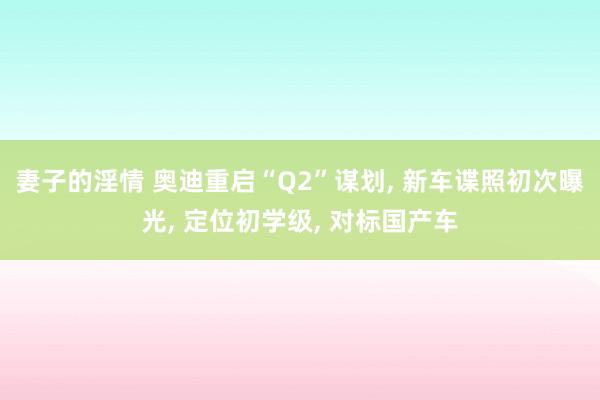 妻子的淫情 奥迪重启“Q2”谋划， 新车谍照初次曝光， 定位初学级， 对标国产车