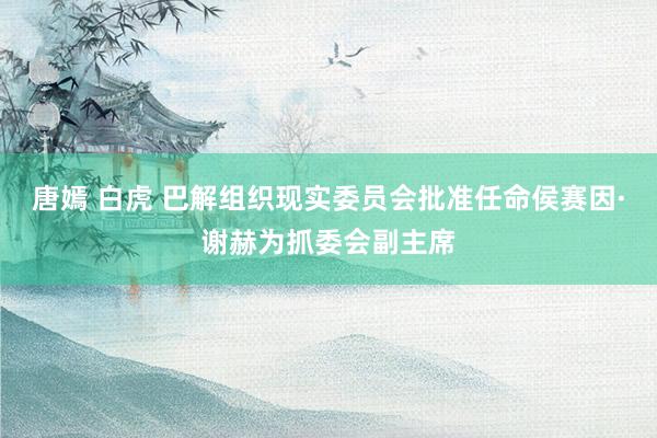 唐嫣 白虎 巴解组织现实委员会批准任命侯赛因·谢赫为抓委会副主席