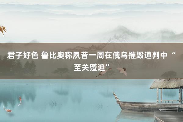 君子好色 鲁比奥称夙昔一周在俄乌摧毁道判中 “至关蹙迫”