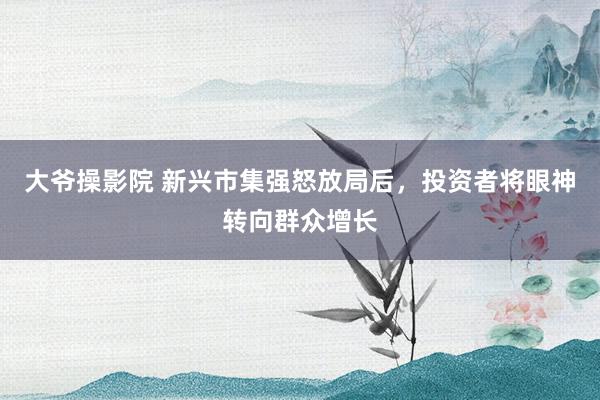 大爷操影院 新兴市集强怒放局后，投资者将眼神转向群众增长
