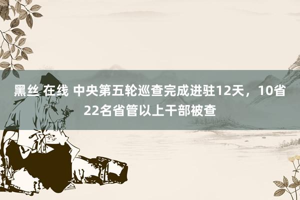 黑丝 在线 中央第五轮巡查完成进驻12天，10省22名省管以上干部被查