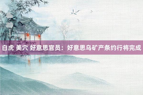 白虎 美穴 好意思官员：好意思乌矿产条约行将完成