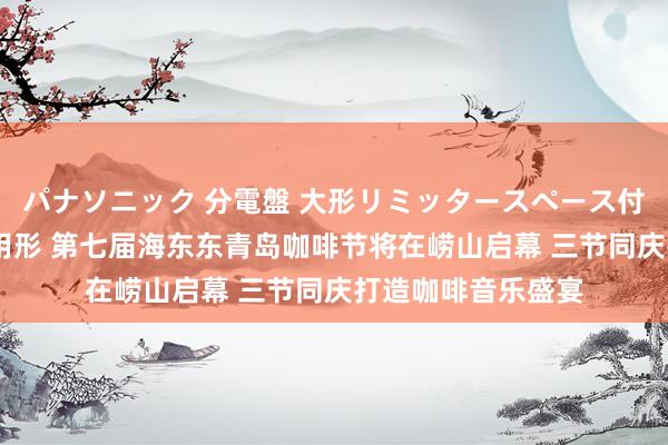 パナソニック 分電盤 大形リミッタースペース付 露出・半埋込両用形 第七届海东东青岛咖啡节将在崂山启幕 三节同庆打造咖啡音乐盛宴