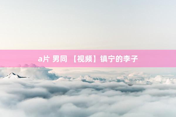 a片 男同 【视频】镇宁的李子