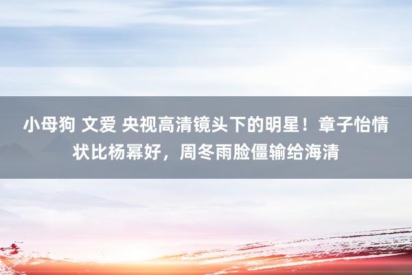 小母狗 文爱 央视高清镜头下的明星！章子怡情状比杨幂好，周冬雨脸僵输给海清